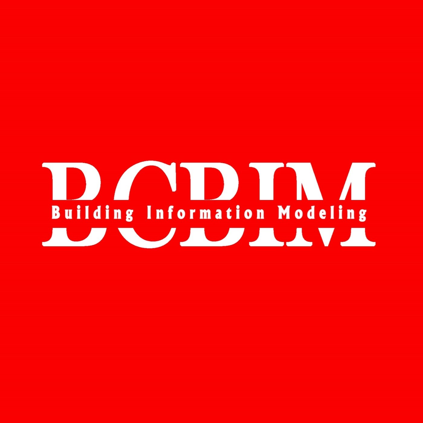 BIM Development Ltd.  